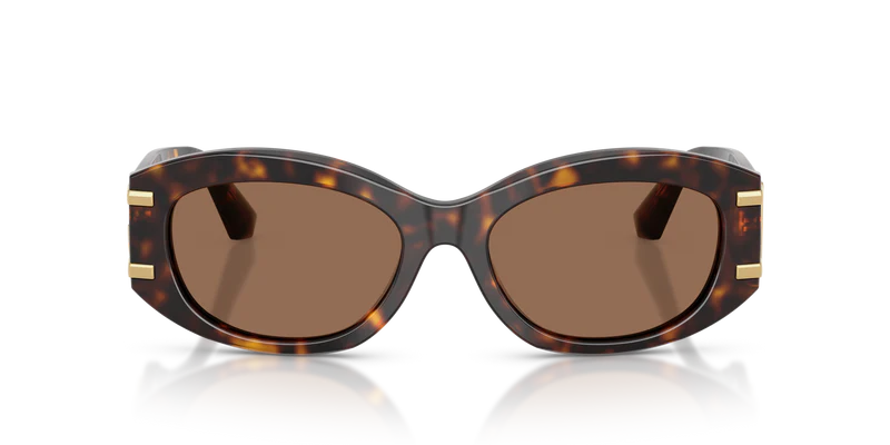 Dolce & Gabbana  DG4502 502/73